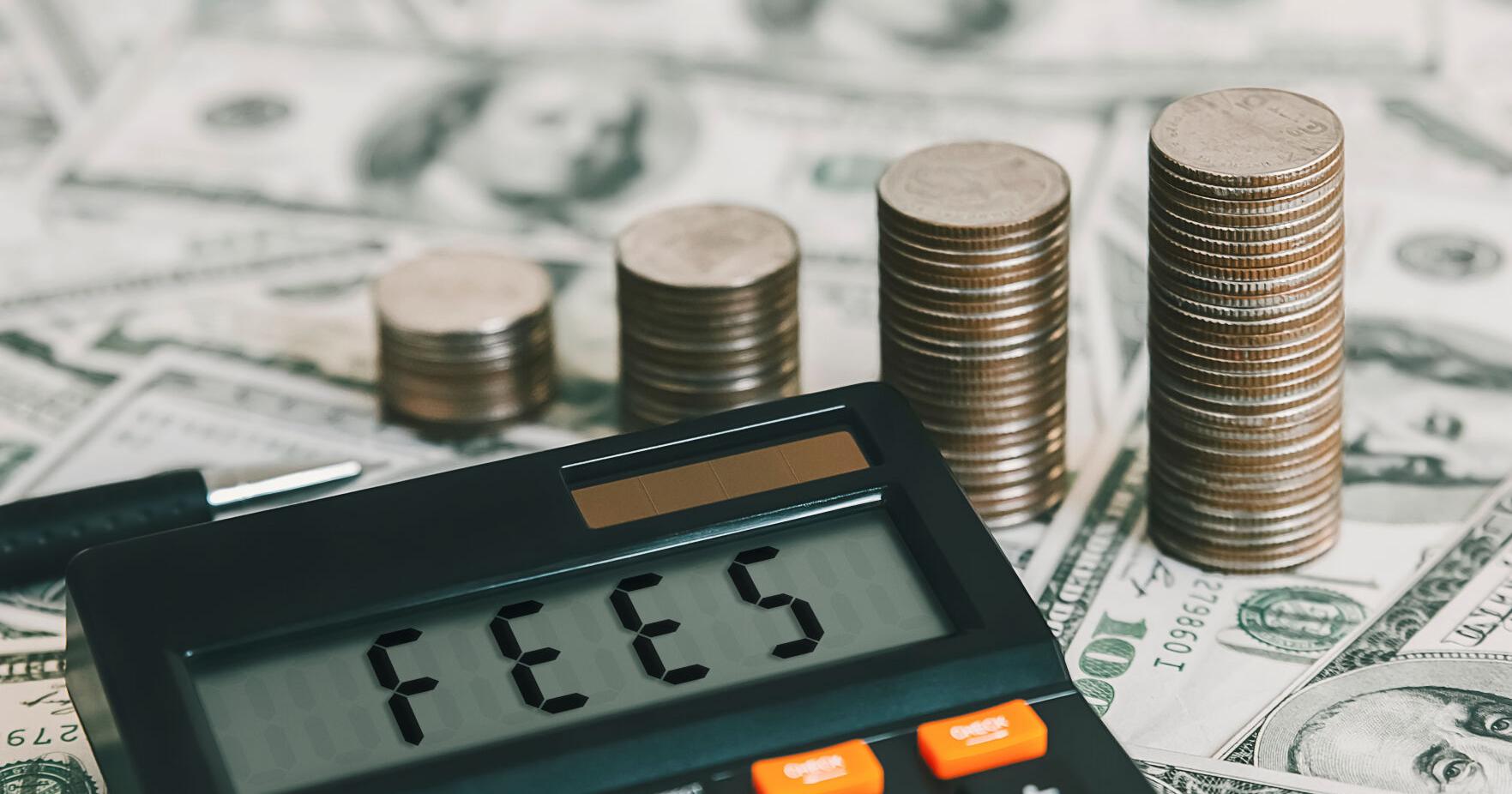County residents could feel the pinch of more taxes and fees - Vimarsana News
