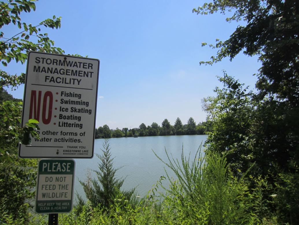 Fairfax County considers taking responsibility of Kingstowne Lake Articles