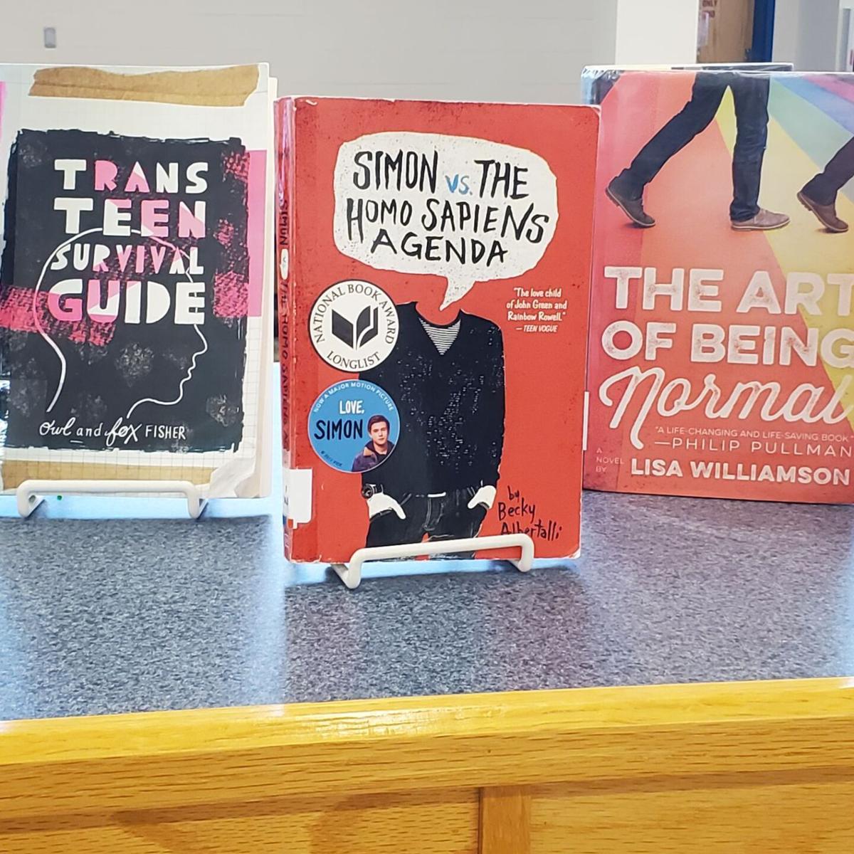 FCPS reinstates pornographic books to school libraries | Articles |  fairfaxtimes.com