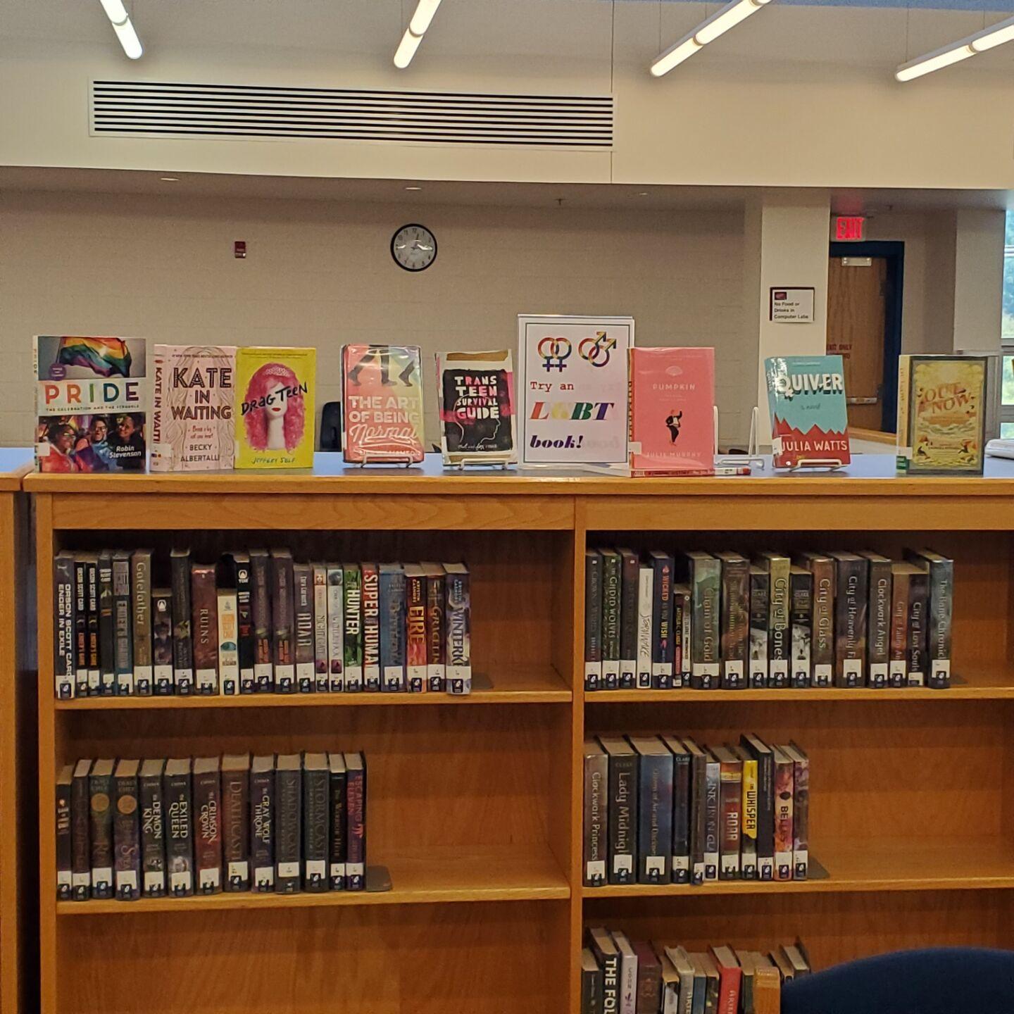 FCPS reinstates pornographic books to school libraries Articles