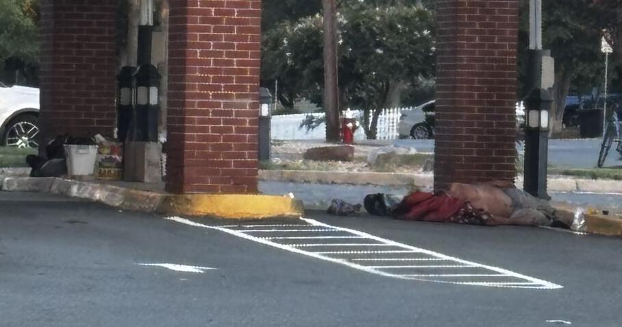 Does Herndon have a chronic homelessness issue?