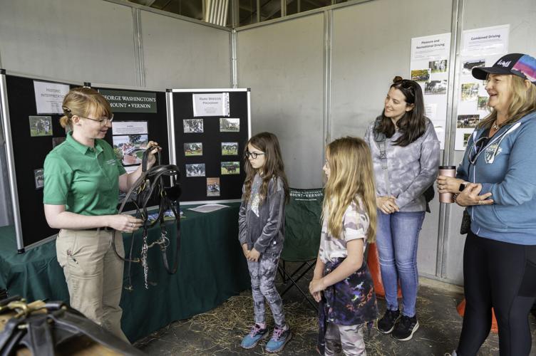 Make hay to Frying Pan Park for the 2nd Annual Horse Expo Fairfax