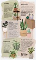 How and where to add plants in your home