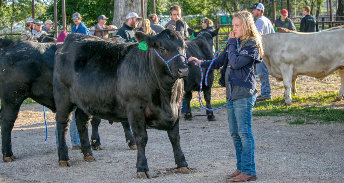 Choteau Mt County Fair 2022