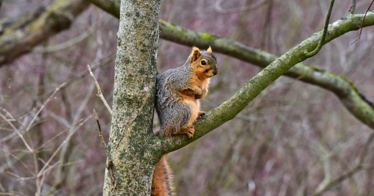 Montana Fish, Wildlife & Parks investigates squirrel aggression at Makoshika State Park Brendan Heidner Glendive Ranger-Review Jul 22, 2026 23 sec ago