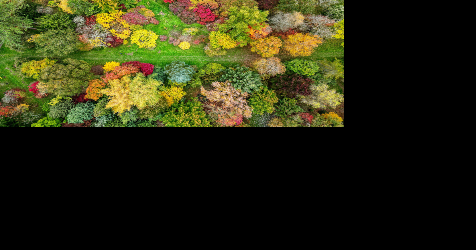 Gardens explode with stunning autumnal colors after long, hot summer - Fairfield Sun Times