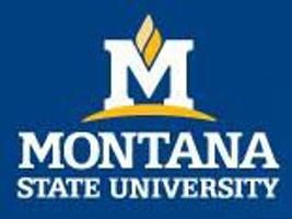 Msu Students Named To Spring Semester 2019 Honor Rolls National Fairfieldsuntimes Com