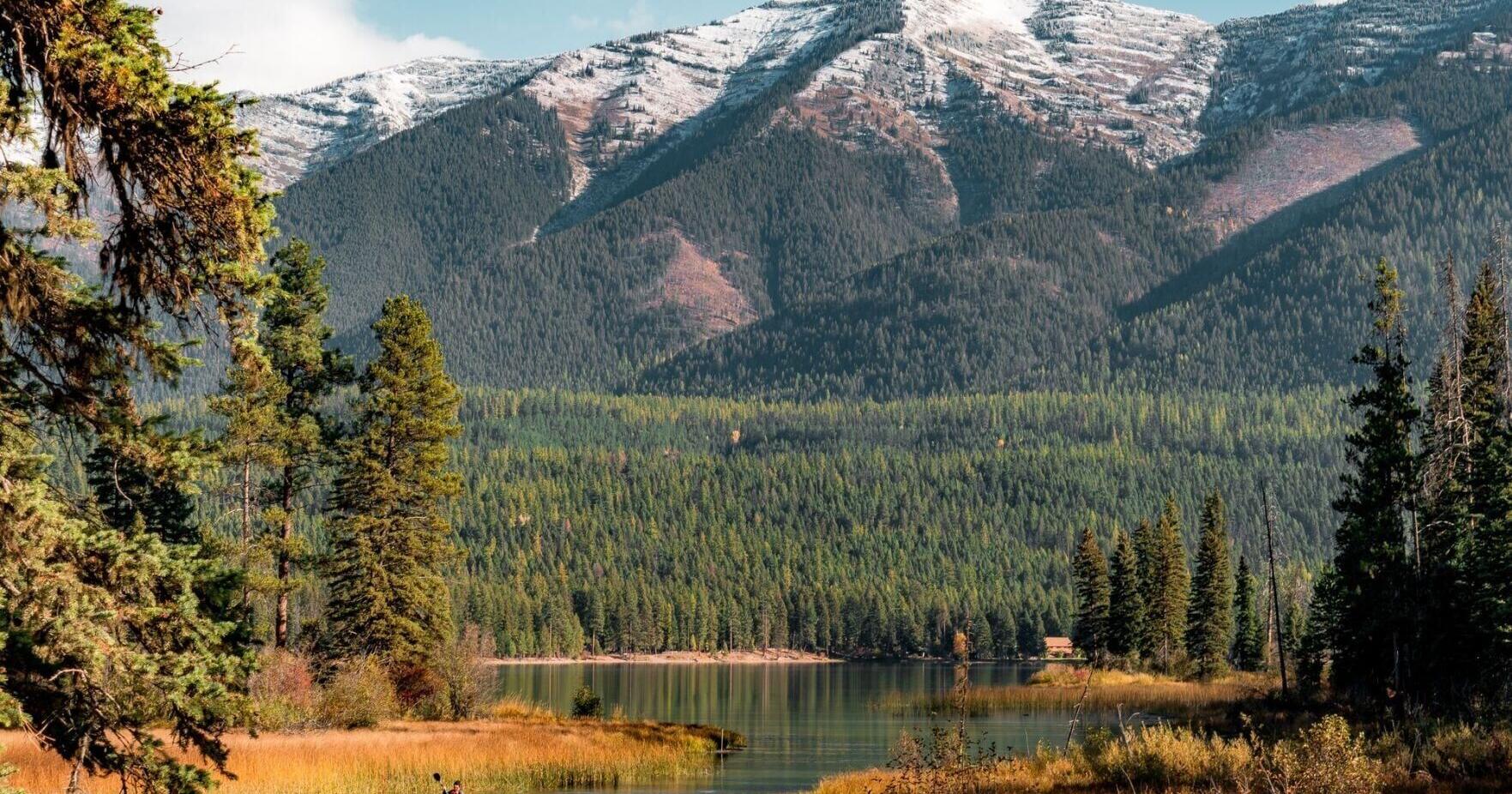 45 Million Acres Of National Forest Could Lose Protection. The Public Has Until October 6 to Weigh In