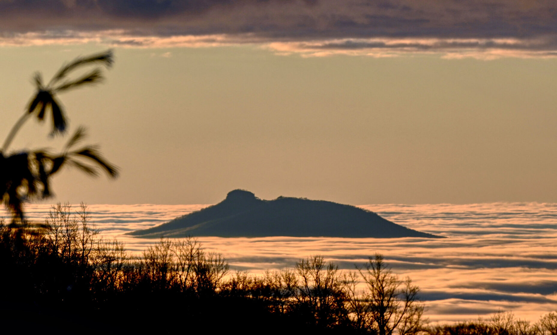 Recent Photo Brings Fond Memories Of Years Spent In North Carolina - Vimarsana News