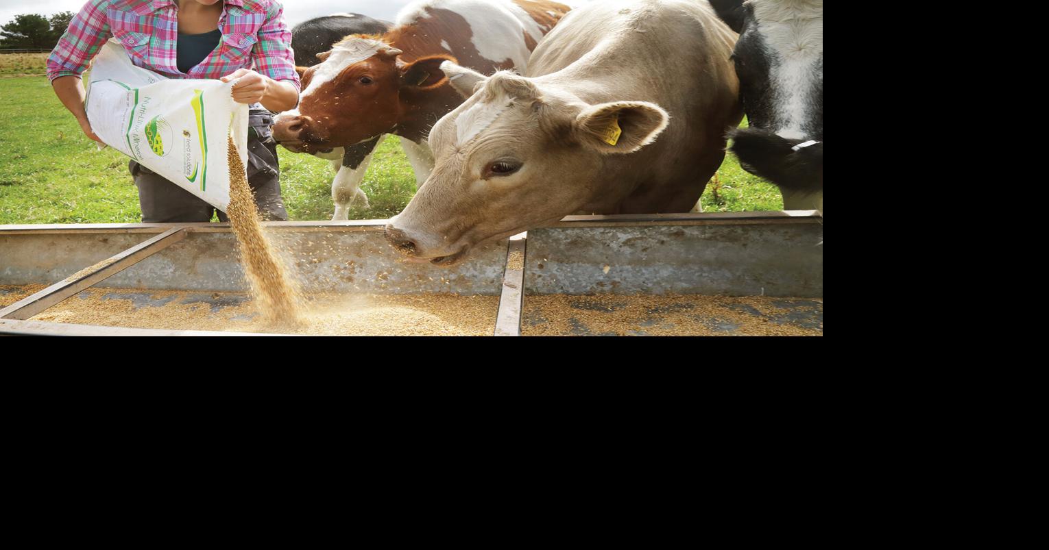 Feed And Forage Sampling | State | fairfieldsuntimes.com