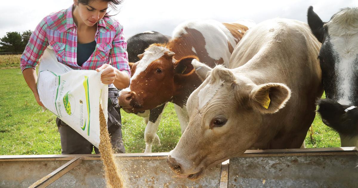 Feed And Forage Sampling | State | fairfieldsuntimes.com