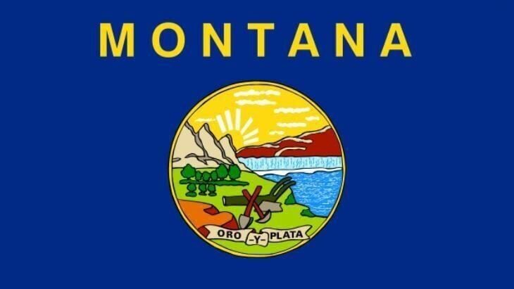 Montana Positioned 17th Among U.S. States for Child-Rearing Expenses