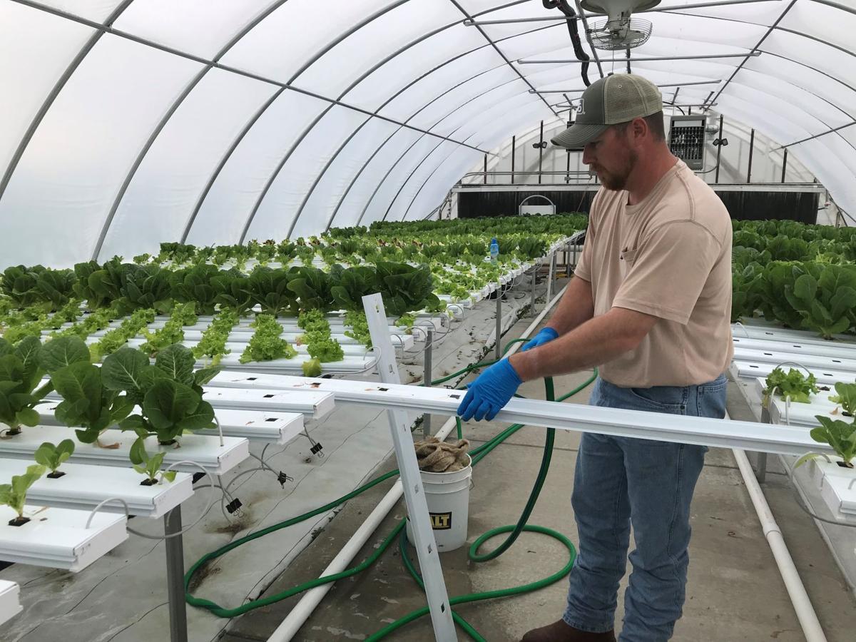 Specialty Growers Keep Pivoting Through Pandemic Market Changes