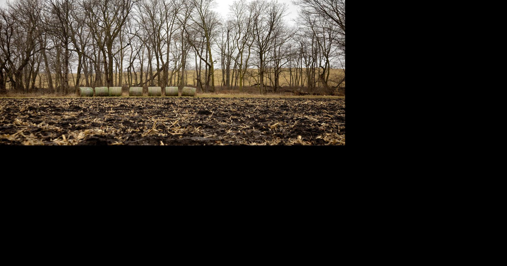 Cold spell slowing field work progress this week | Crop Conditions ...