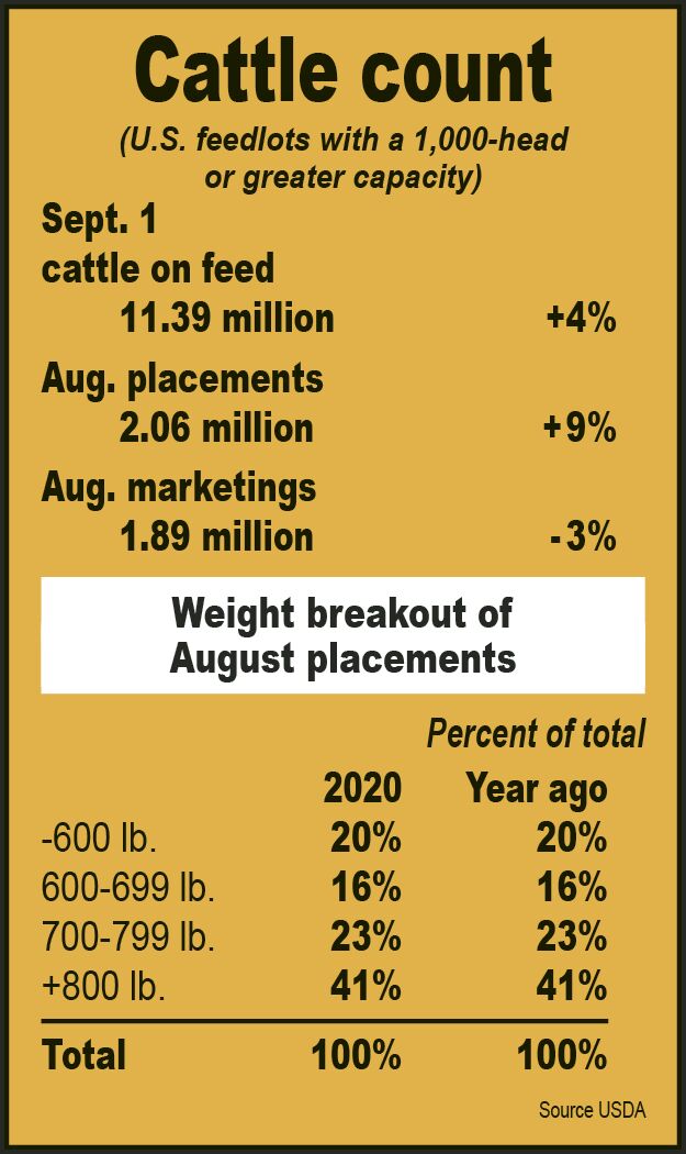 cow due date calculator cow due date calculator