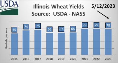 Illinois wheat could be heads above previous crops