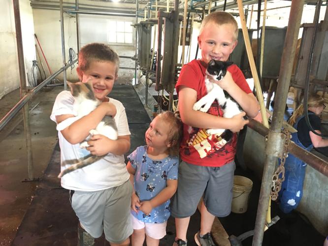Tazewell County dairy’s leap of faith proves pandemic no barrier