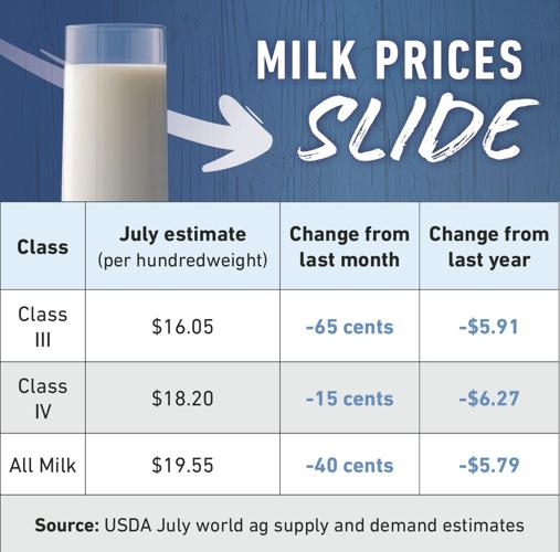 Milk price swings drain dairy margins Profitability