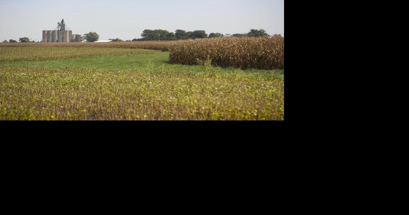 Grassland CRP enrollment starts Monday National