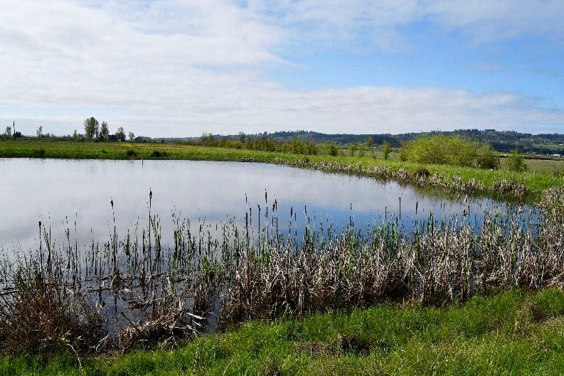 NRCS Accepting Applications For Wetland Reserve Easements ...