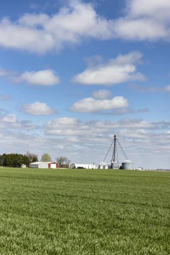 EPA: Final Herbicide Strategy has more options for growers | National |  farmweeknow.com