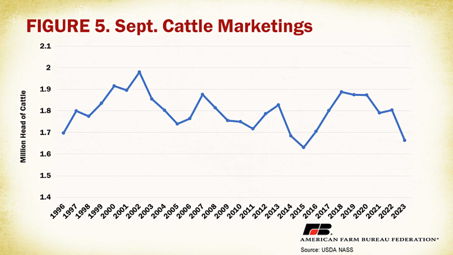 Cattle market volatility increasing risk for farmers, may lead to ...