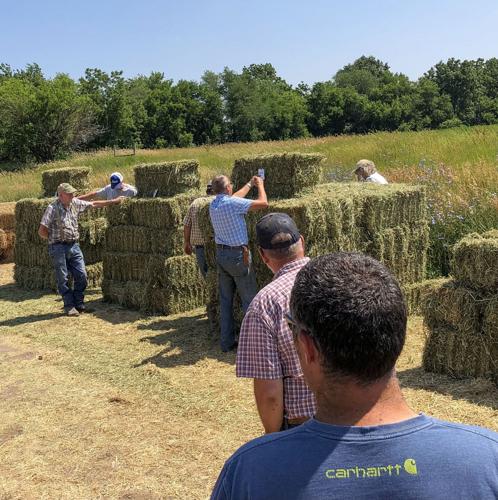 Hay supplies, pasture quality declining in drought | Crop Conditions ...