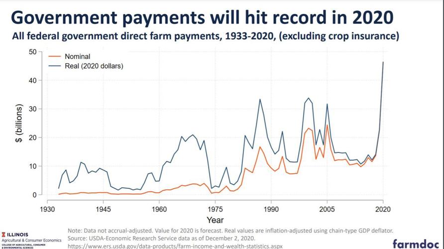 Government payments to farmers set to be record in 2020 National