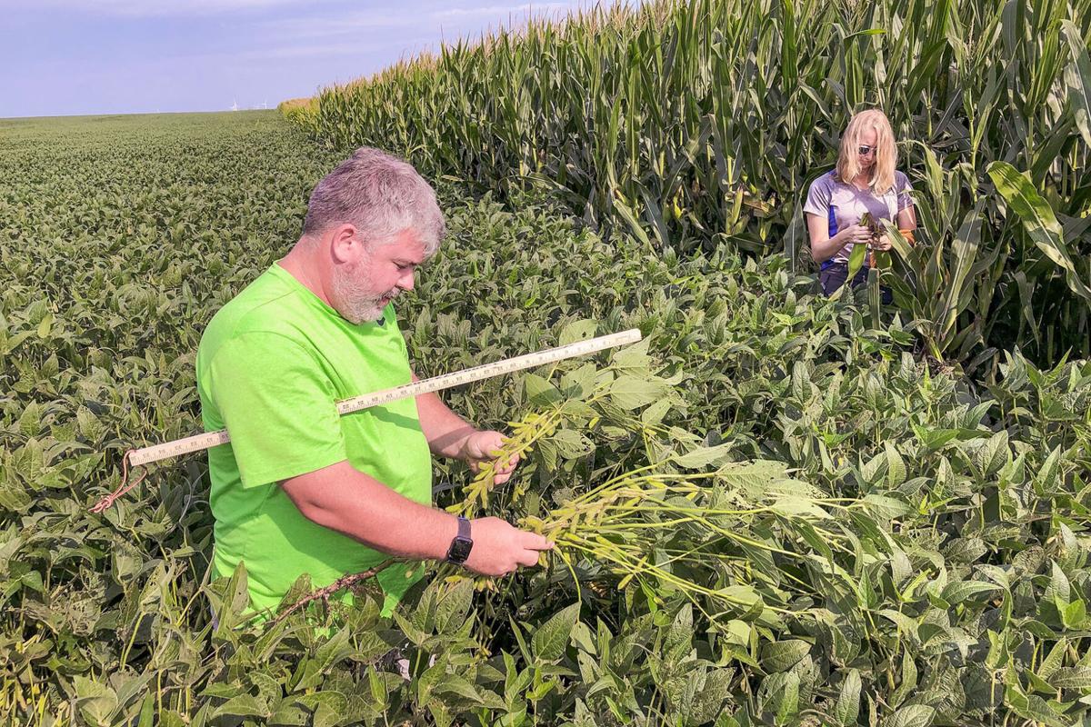 pro farmer crop tour 2023 day 1 results