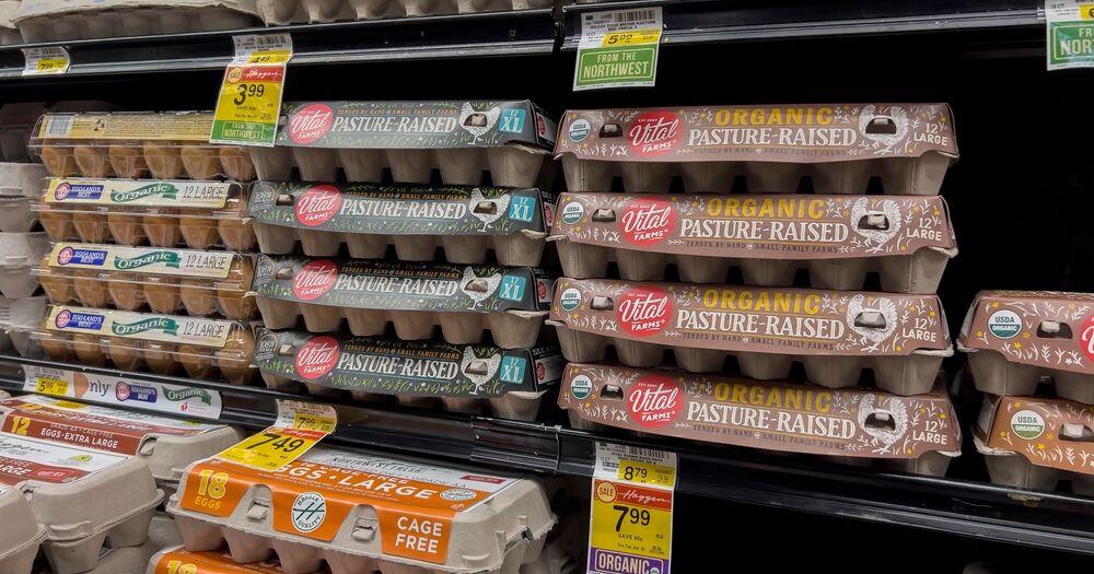 Declining egg prices squeeze poultry farmers