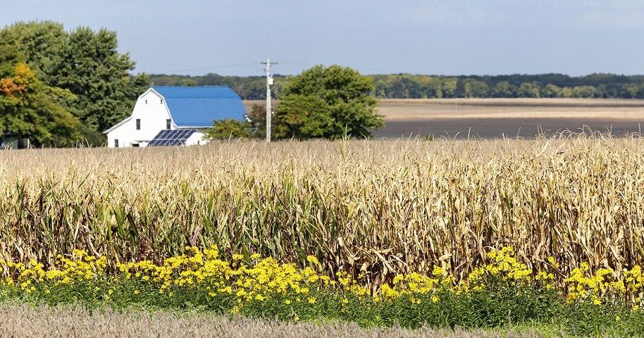 Hot stretch could reignite field fire concerns | Crop Conditions ...