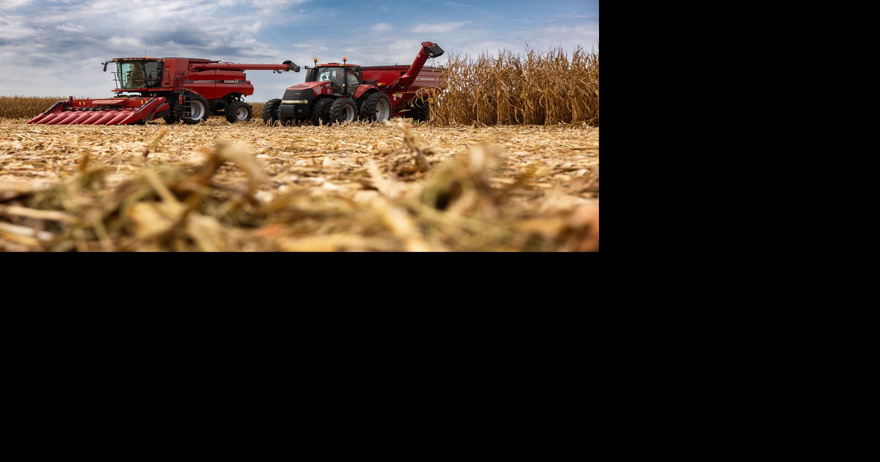 Crop progress report 9/28/26: A quarter of corn harvest done | Crop ...
