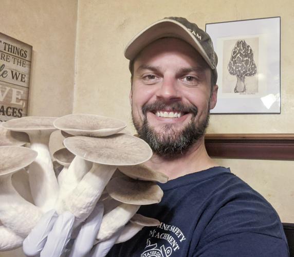 From the ground up Specialty mushroom farm thrives indoors, outdoors State