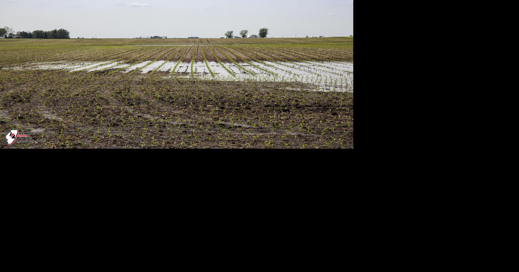 First half of May to feature rain and cooler temps | General ...