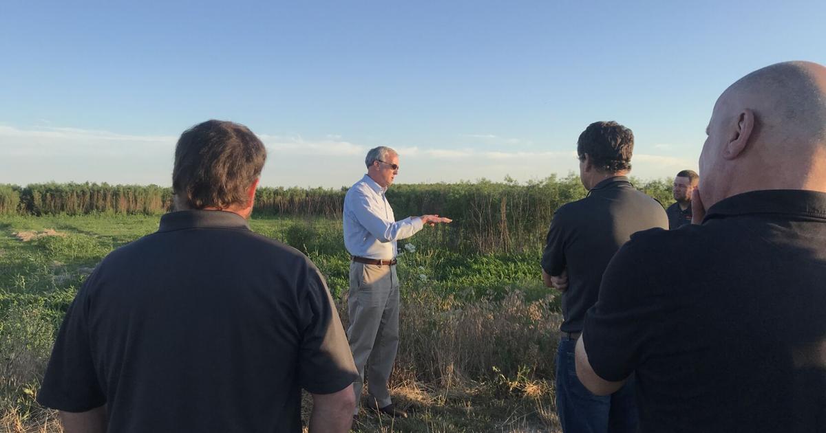 Usda Rcpp Illinois RCPP projects among 41 selected by USDA | National ...