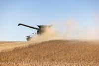 Dry conditions ignite harvest activity, fire threats | General ...