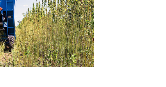 Executive order aims to expand biomass production, climate-smart ag - Vimarsana News