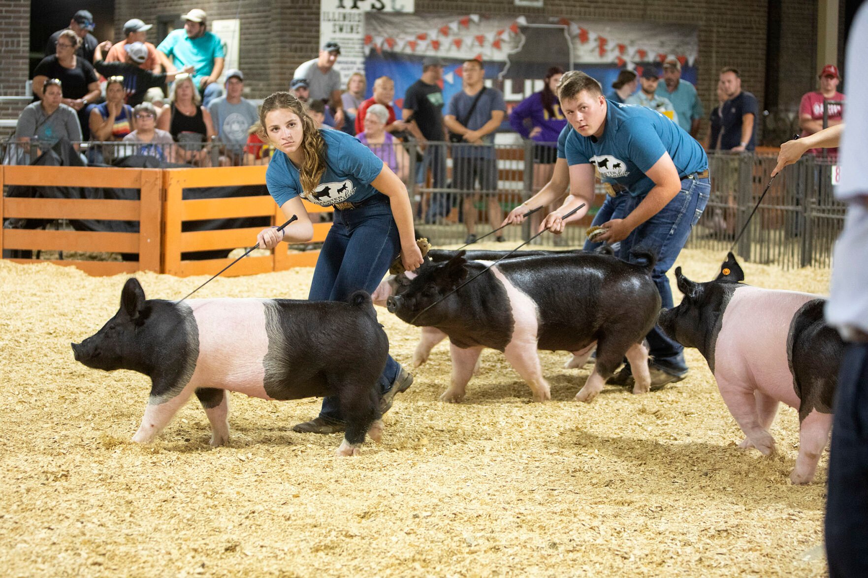 Numbers Point To Successful Illinois State Fair | State | Farmweeknow.com