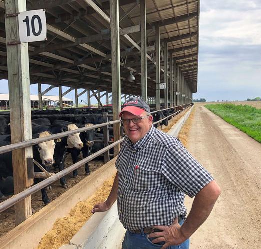 Cattle key to crop fertility on Henry County Farm