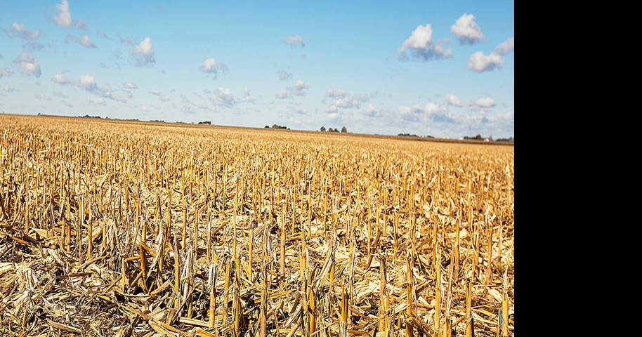 Nation's best wheat yield tops 200 bushels per acre