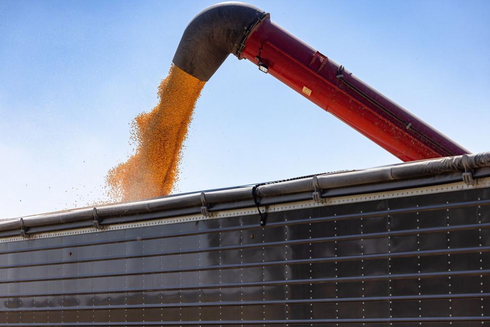 Updated farm bill math confirms challenging economics