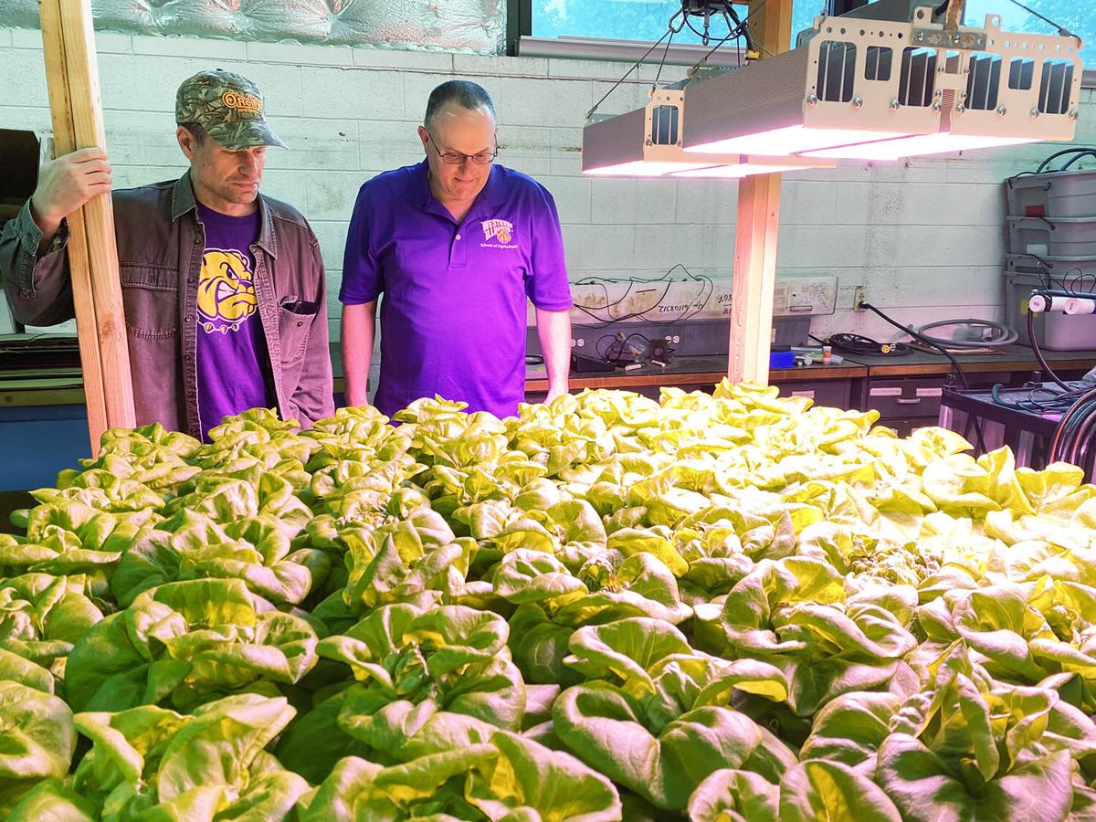 Wiu Growing Technology For Hydroponic Production General