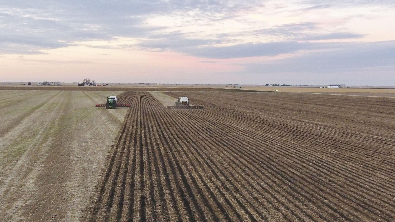 strip-tilled field