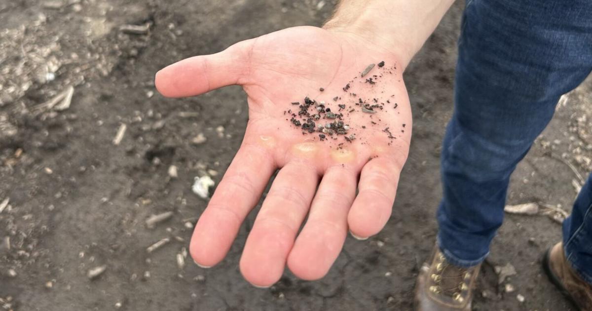 Nutrient Field Day spotlights potential of struvite | Profitability ...