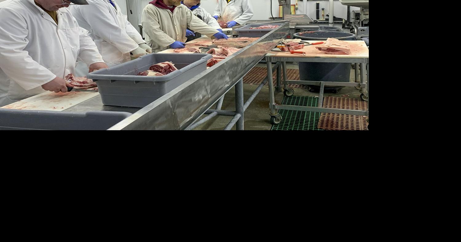 Meat processors benefit from IFBassisted HACCP training Livestock