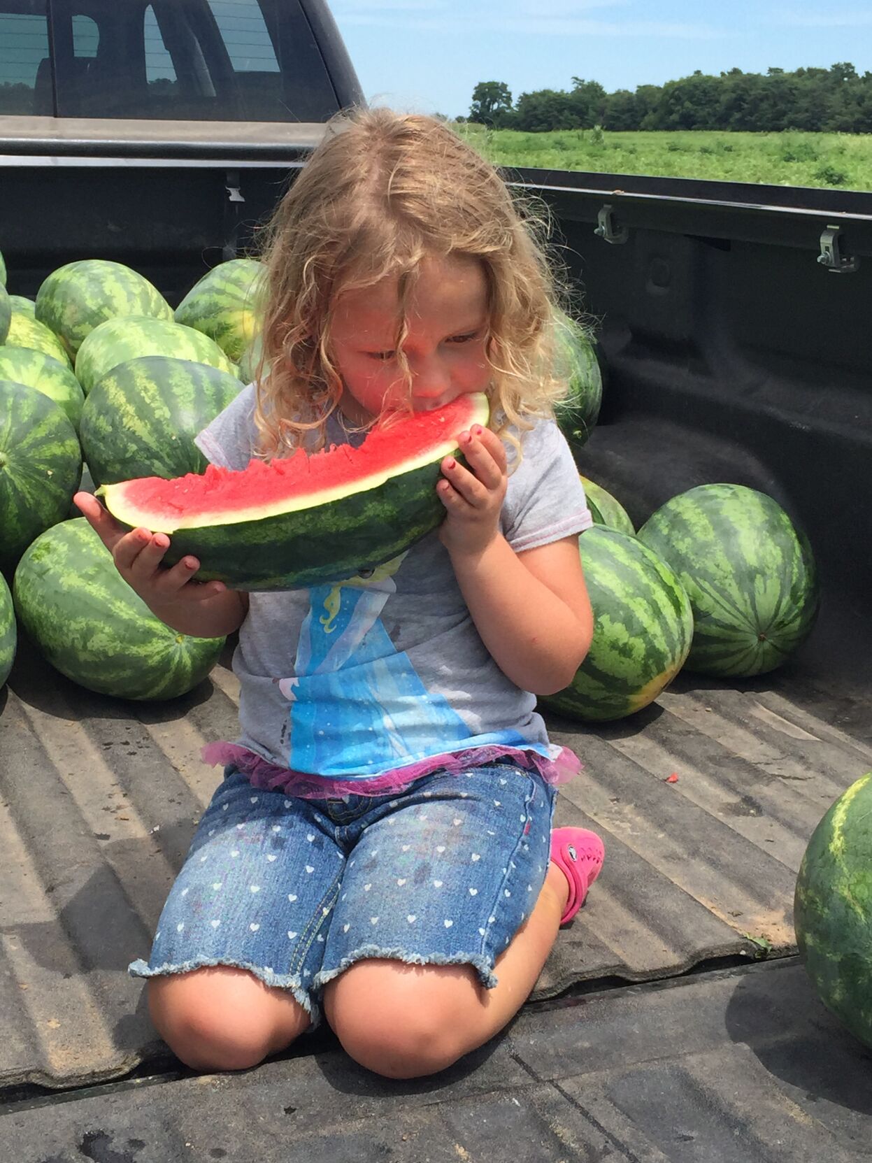 Mason County specialty farm’s produce, plants popular during pandemic State