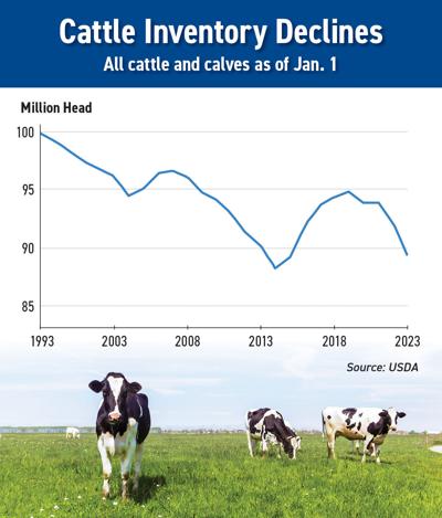 Cattle estimates suggest more liquidation ahead