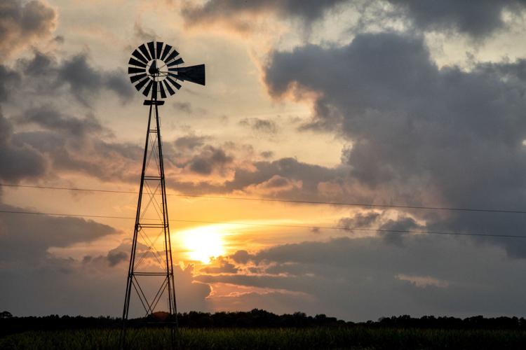 Windmill in sunset