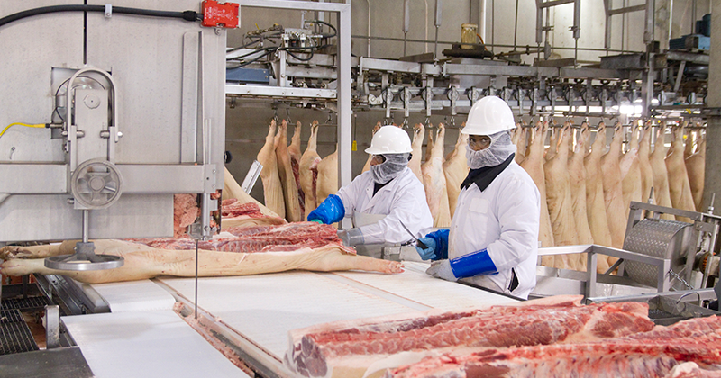 Action urged to address line speeds at hog processing plants | National ...