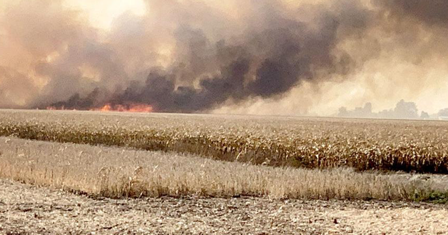 Climatologist: Field fire risk eases, winter outlook appears wet | Crop ...